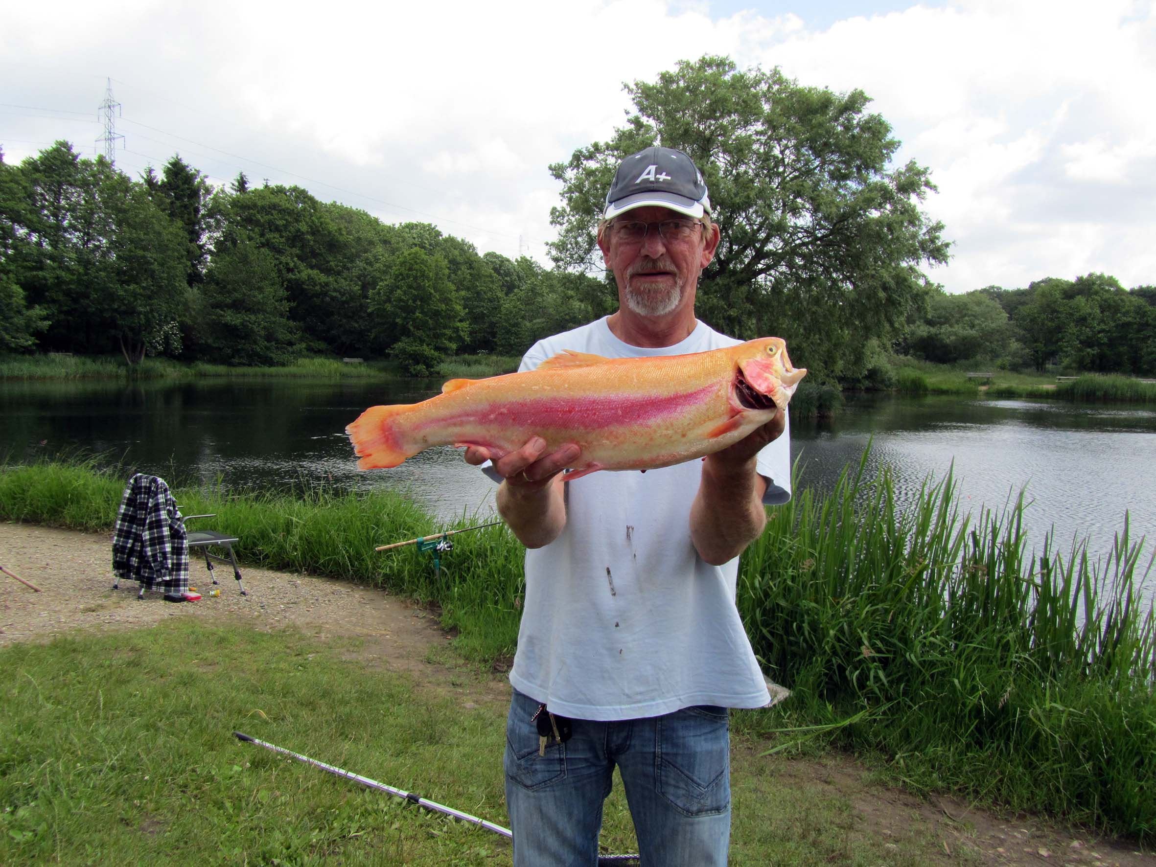 201106Guldoerred
