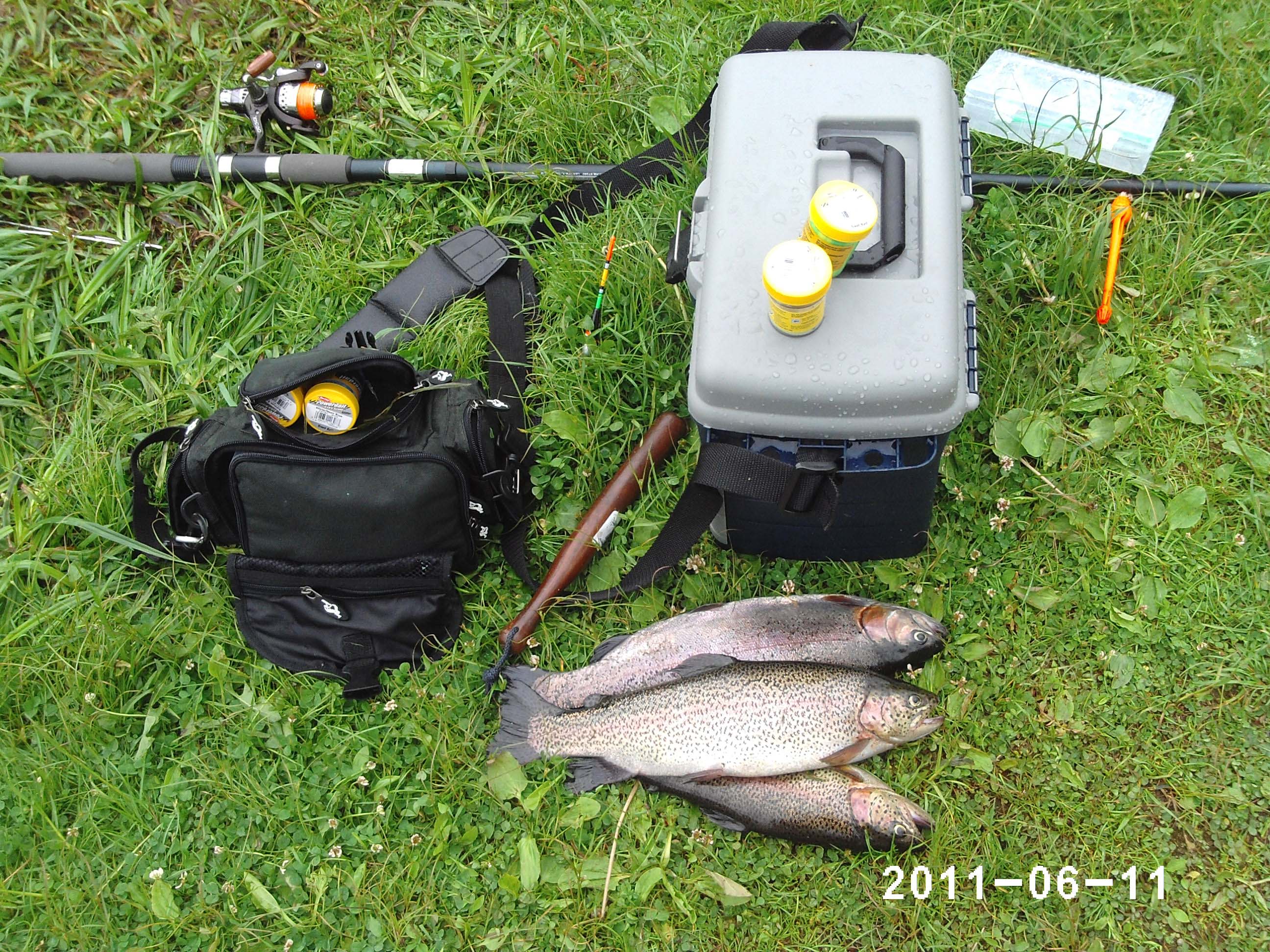 PHOT0006_FiskGrej