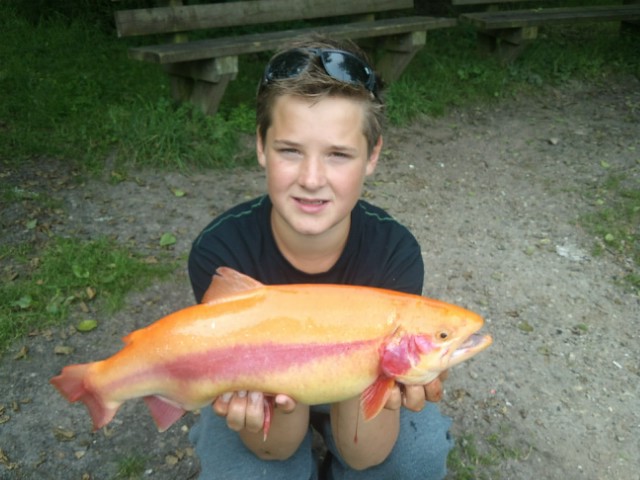 DSC00402_Nikolai