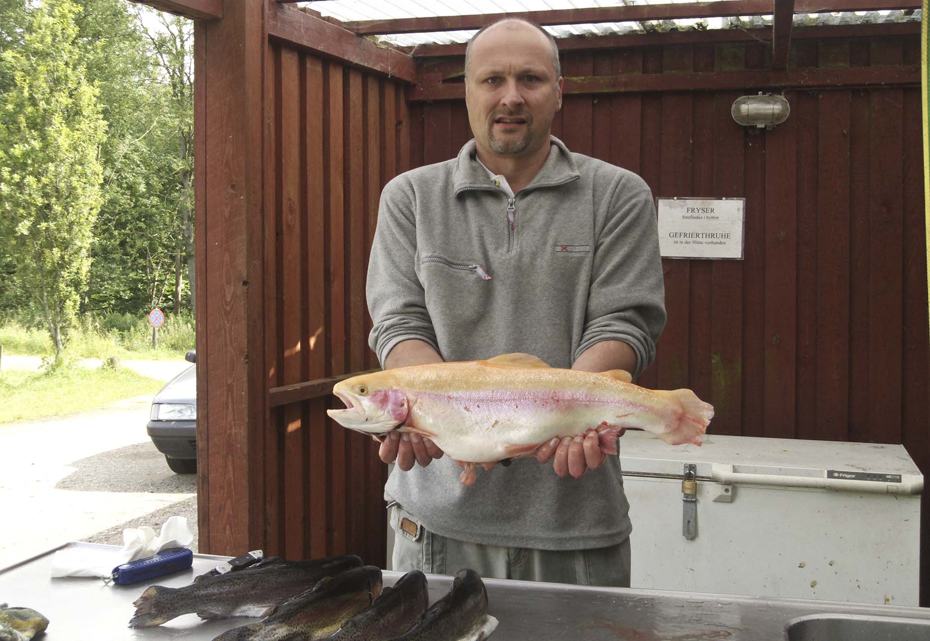 Guldoerred_2011-07-18