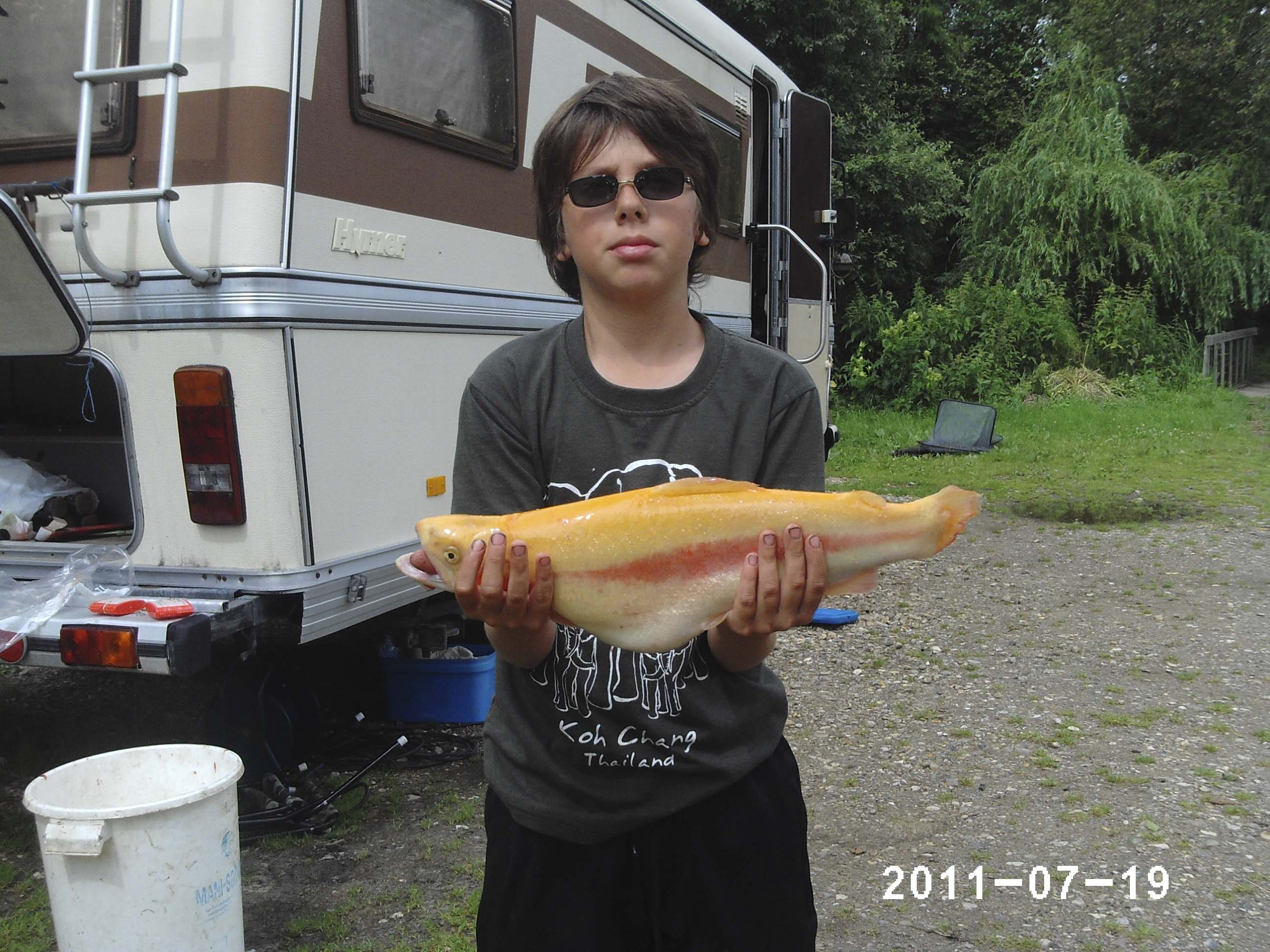 Guldoerred_20110719