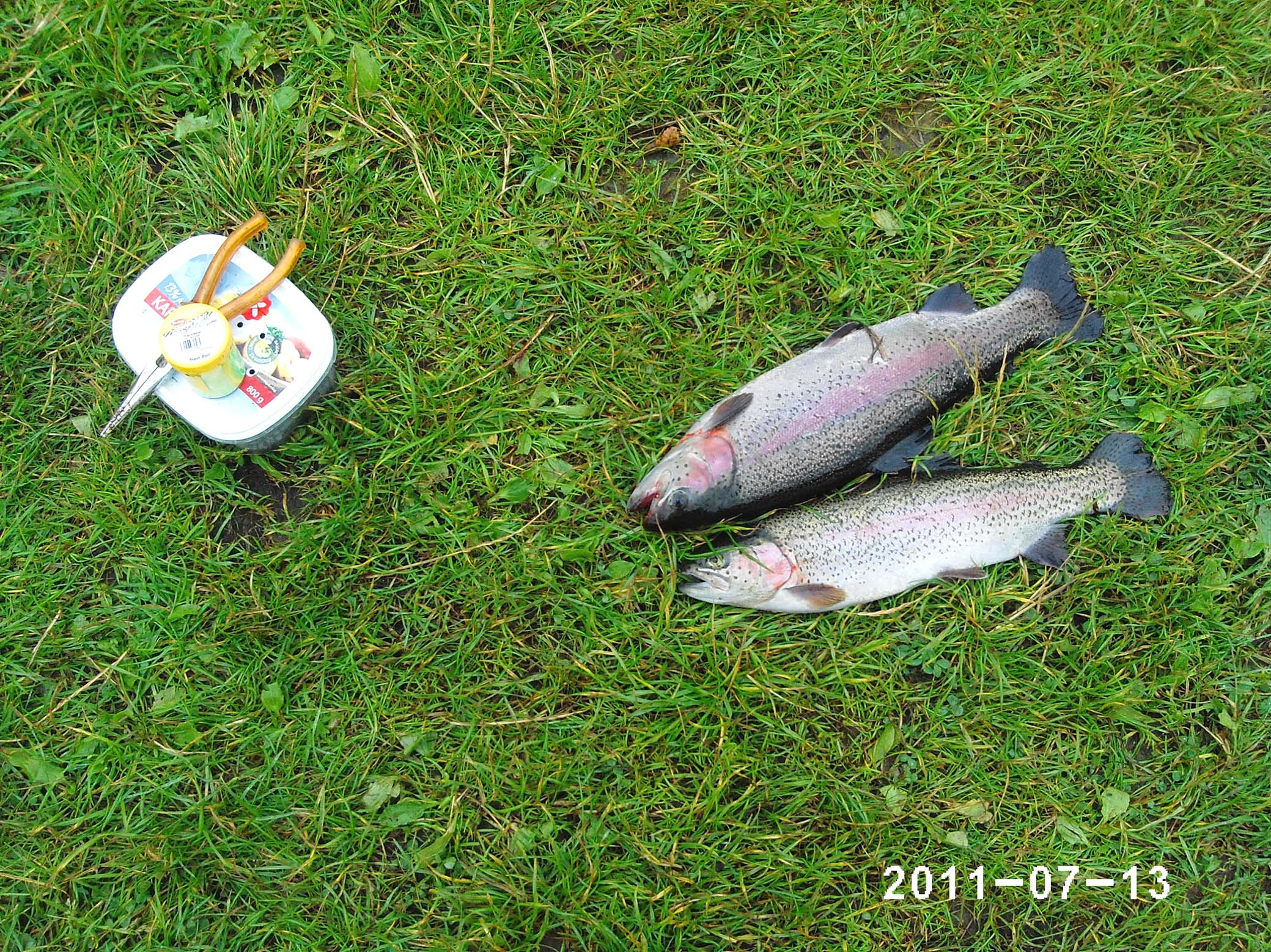 PHOT0035_topaenefisk