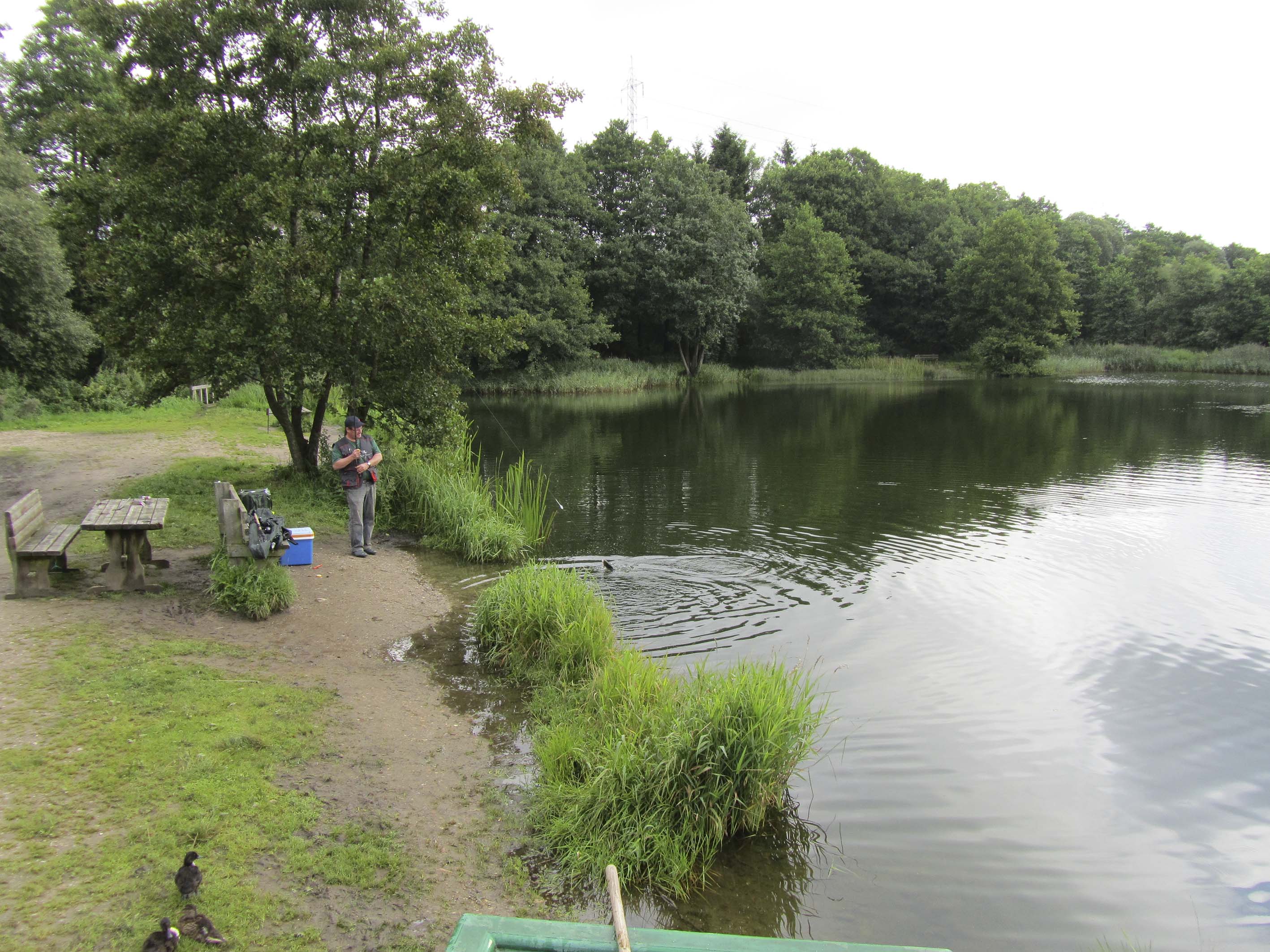IMG_0651landerfisk