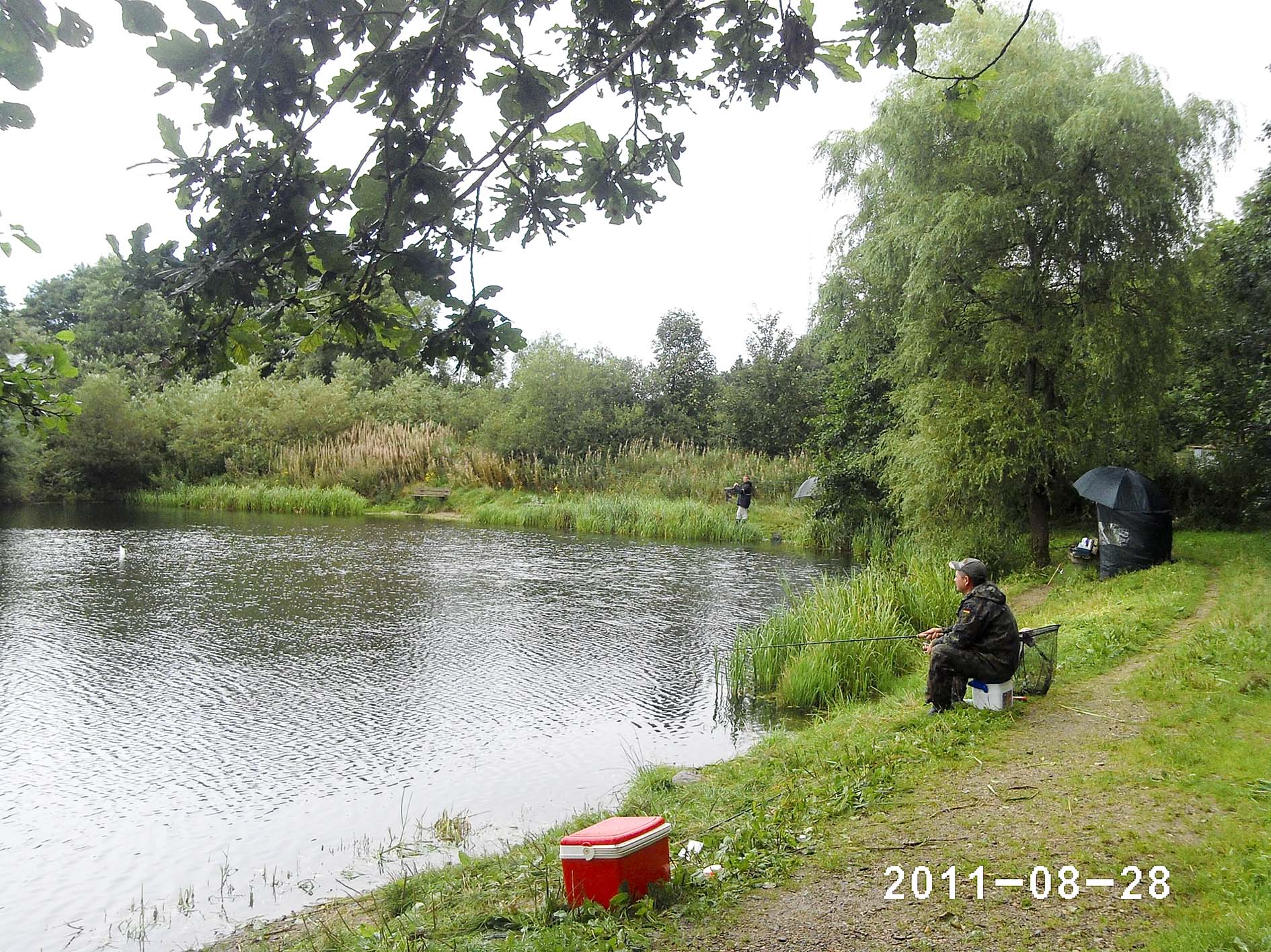 PHOT0081
