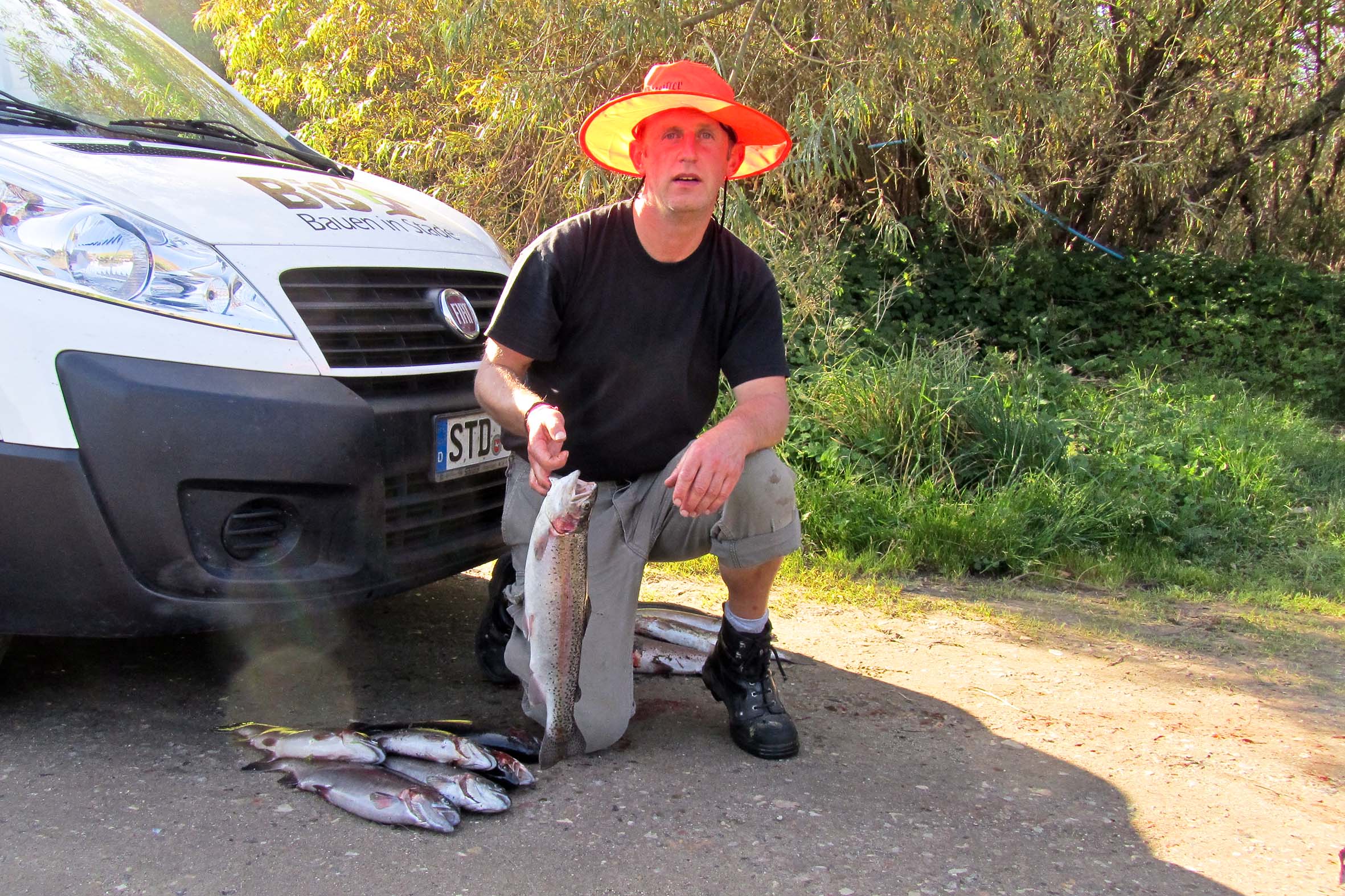 20111001_German_vieleFische