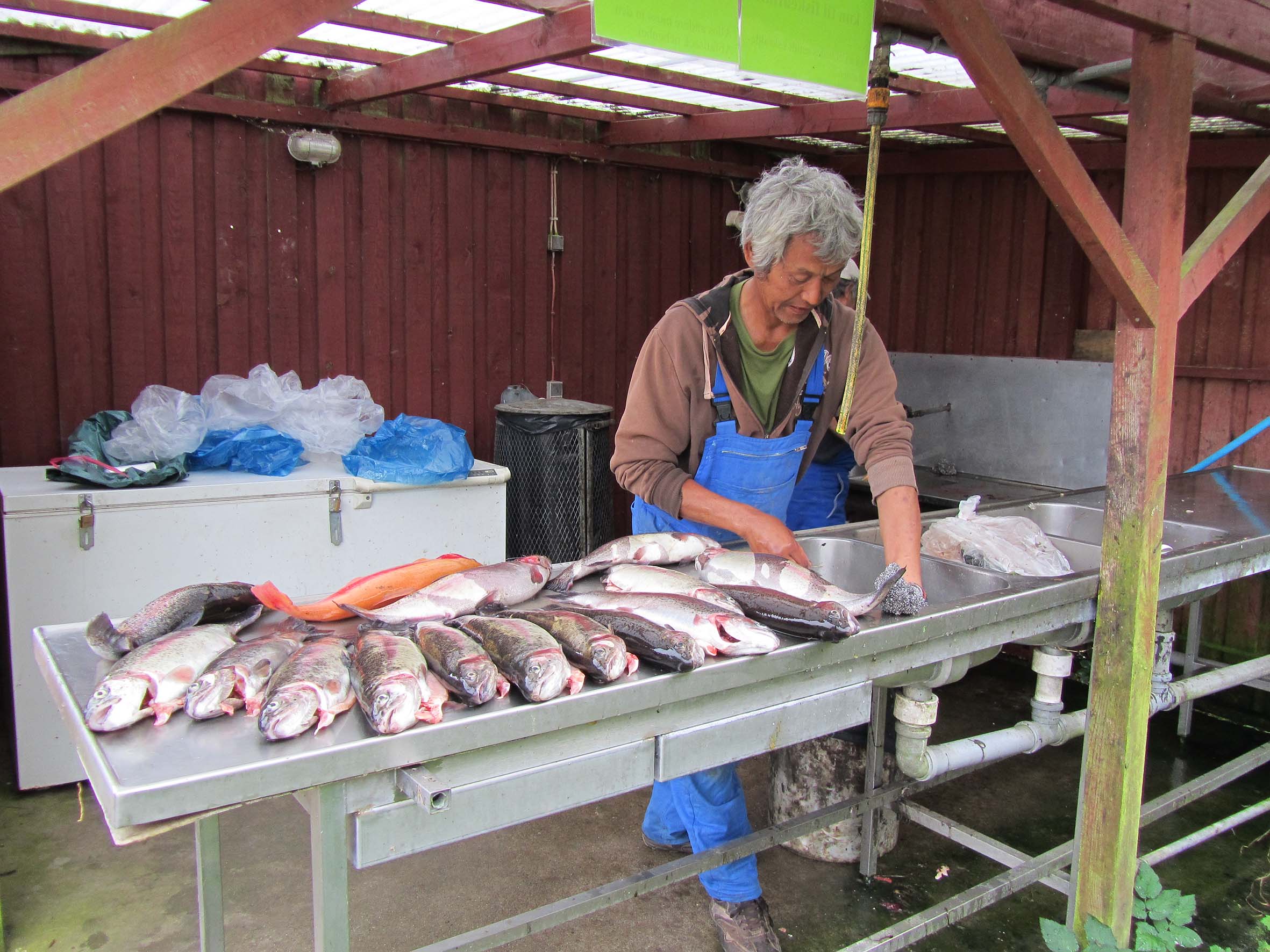 IMG_0905_BaliMangefisk