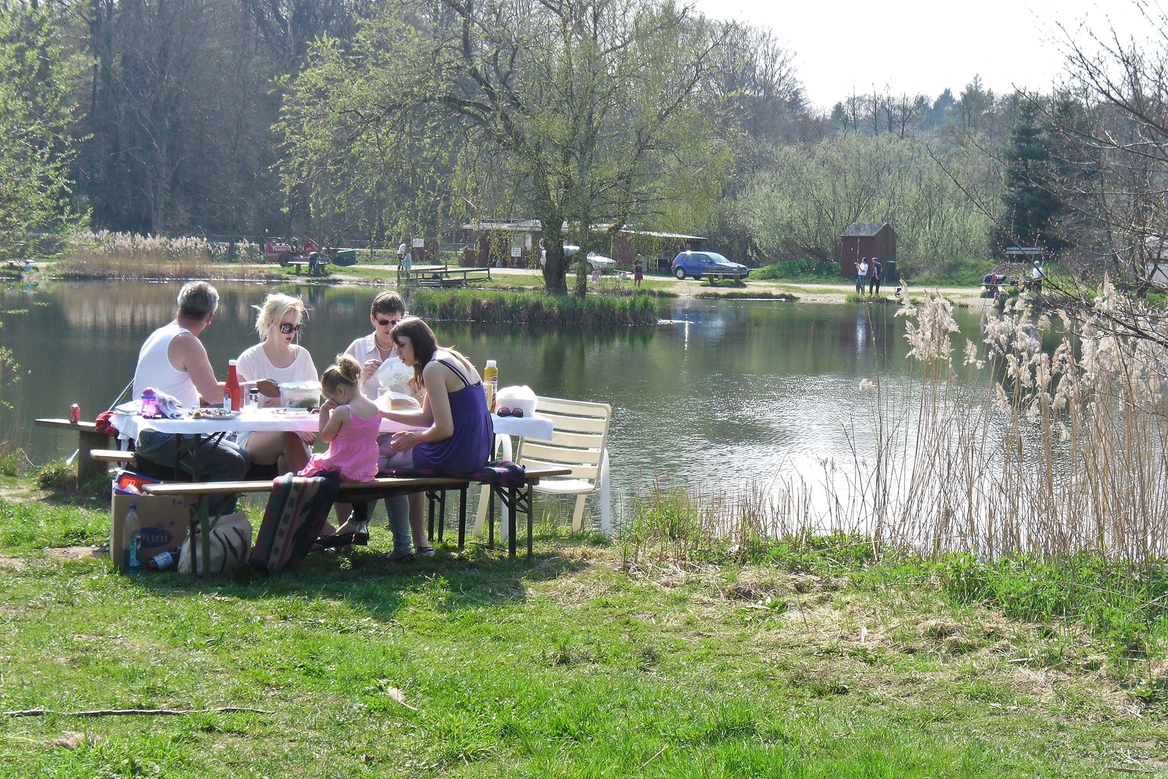 SAM_0260_Picnic