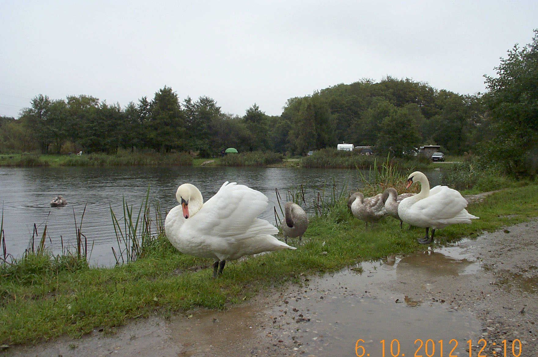 6oktober_DCP_0556