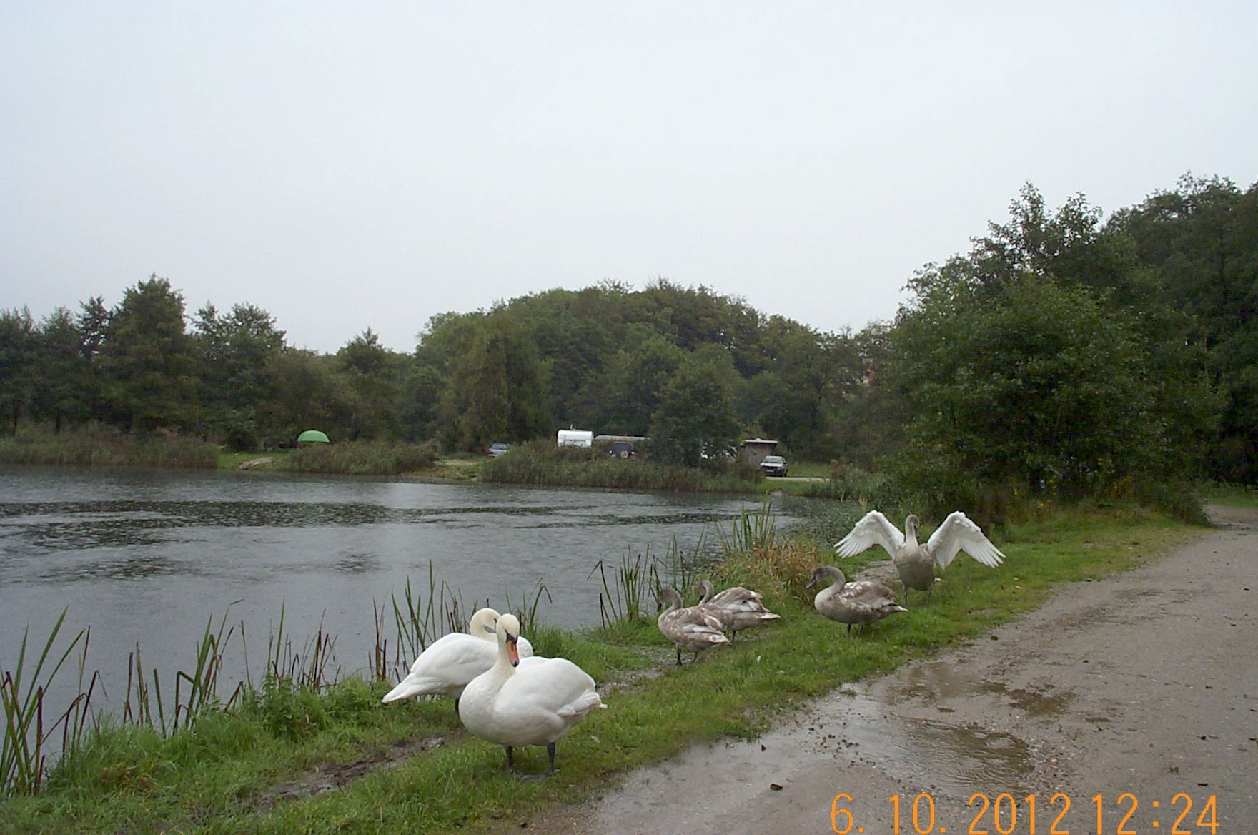 6oktober_DCP_0567