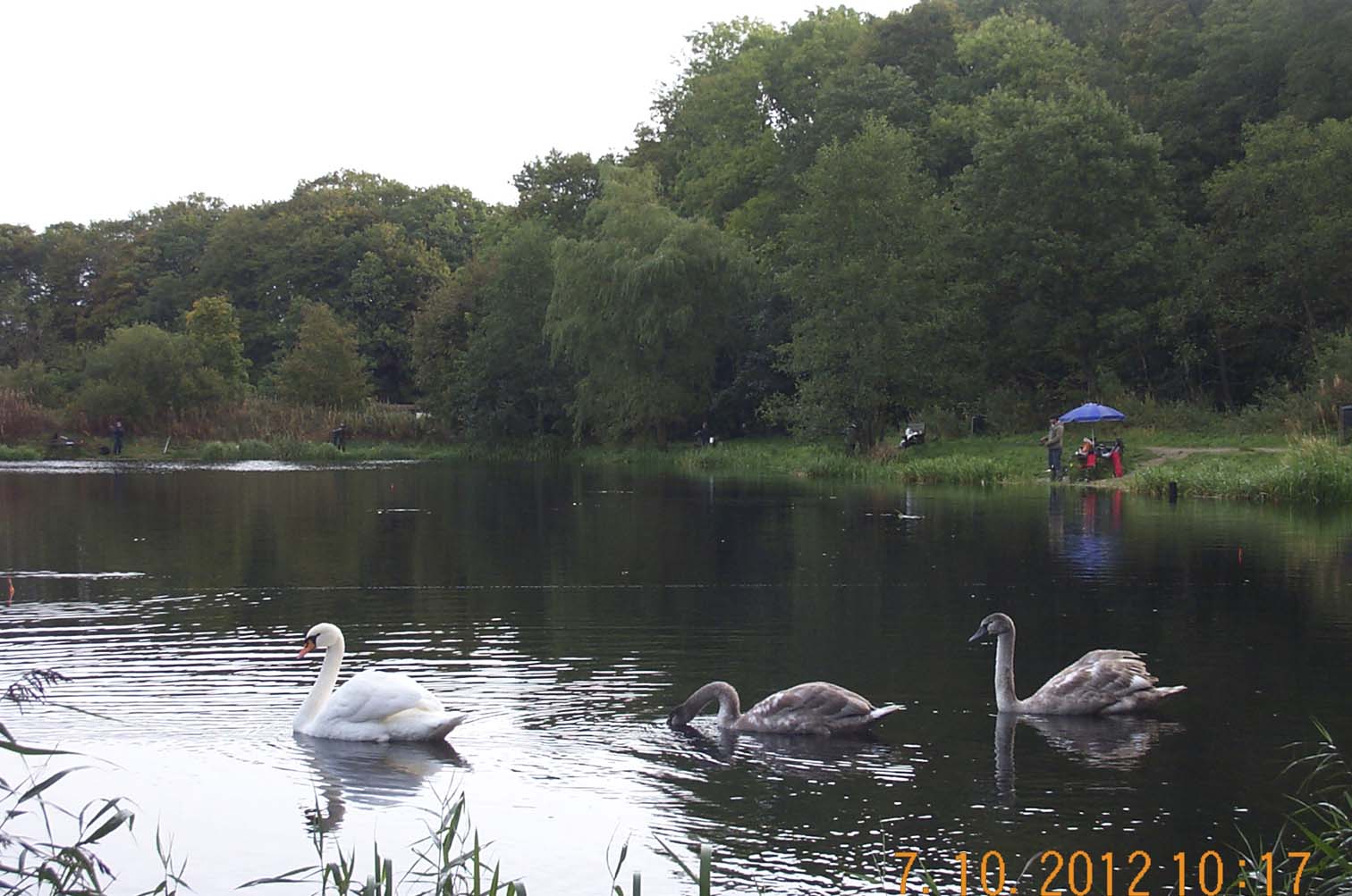 7oktober_DCP_0593