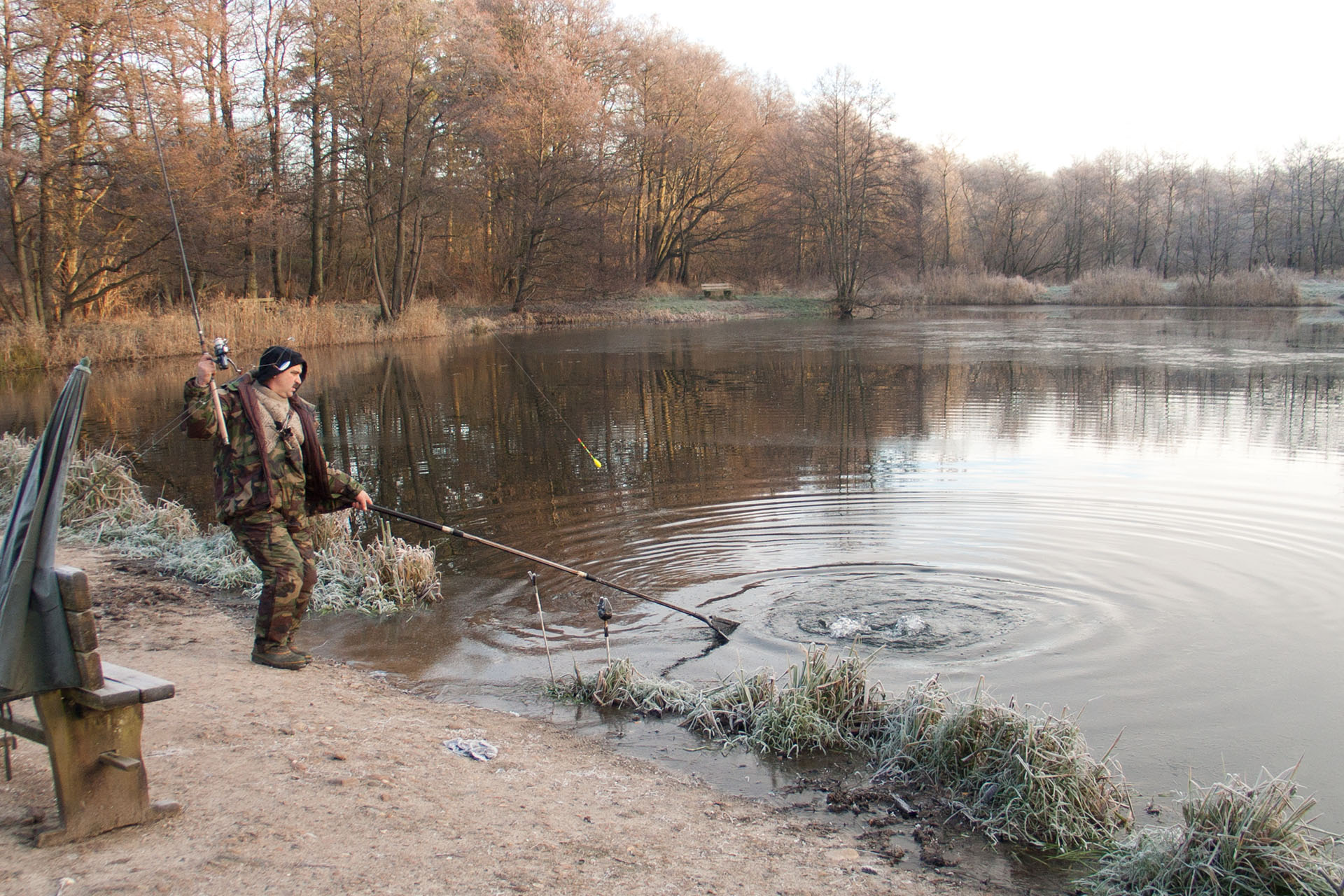 1december_CRW_5383