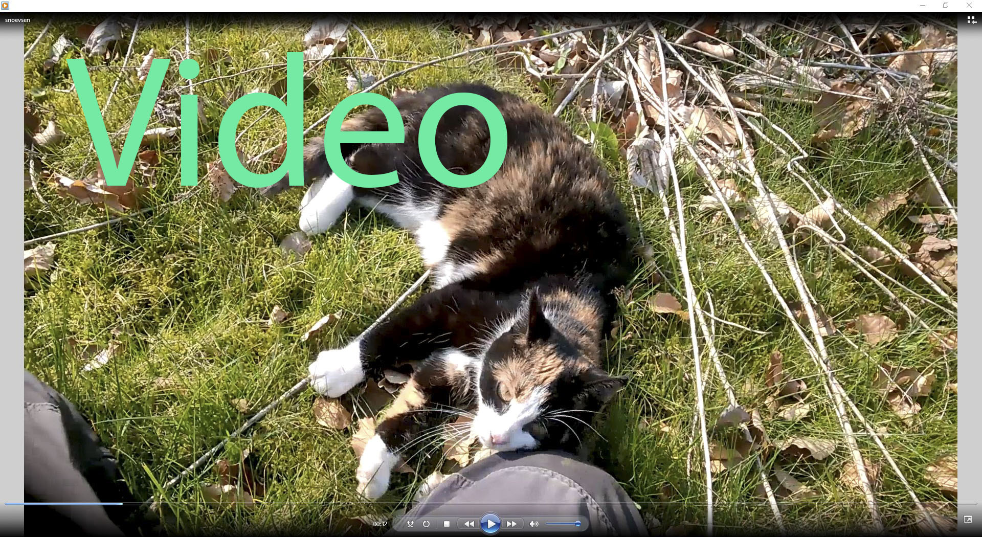 Snoevsen_20190406video