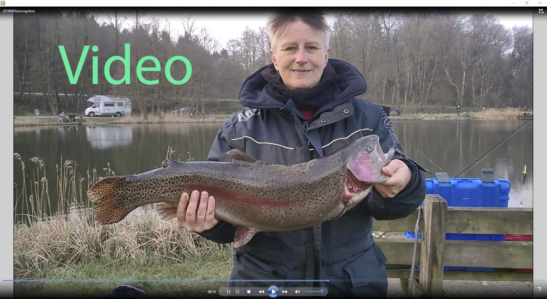 storegnbuevideo