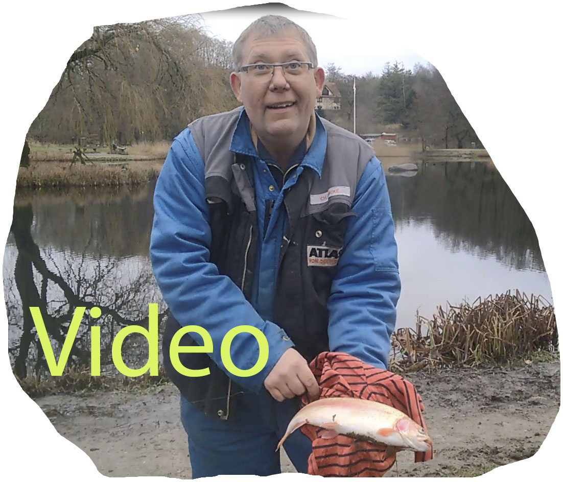 Fricke_20191225video