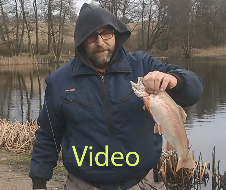 bronze_201912video