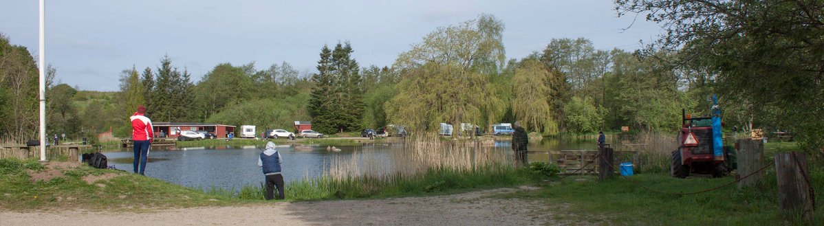 Hvilested Lystfiskersøer; Two put and take trout fishing lakes in Kolding, Denmark